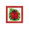 Framed - Lady Luck