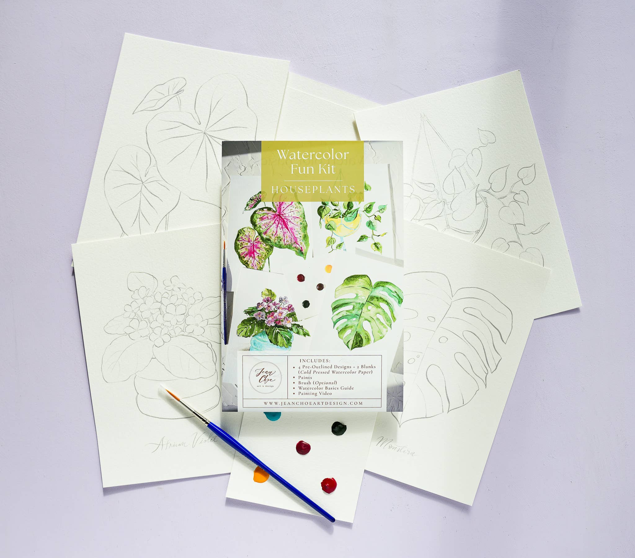 Houseplants Watercolor Painting Kit with Paint & Brush