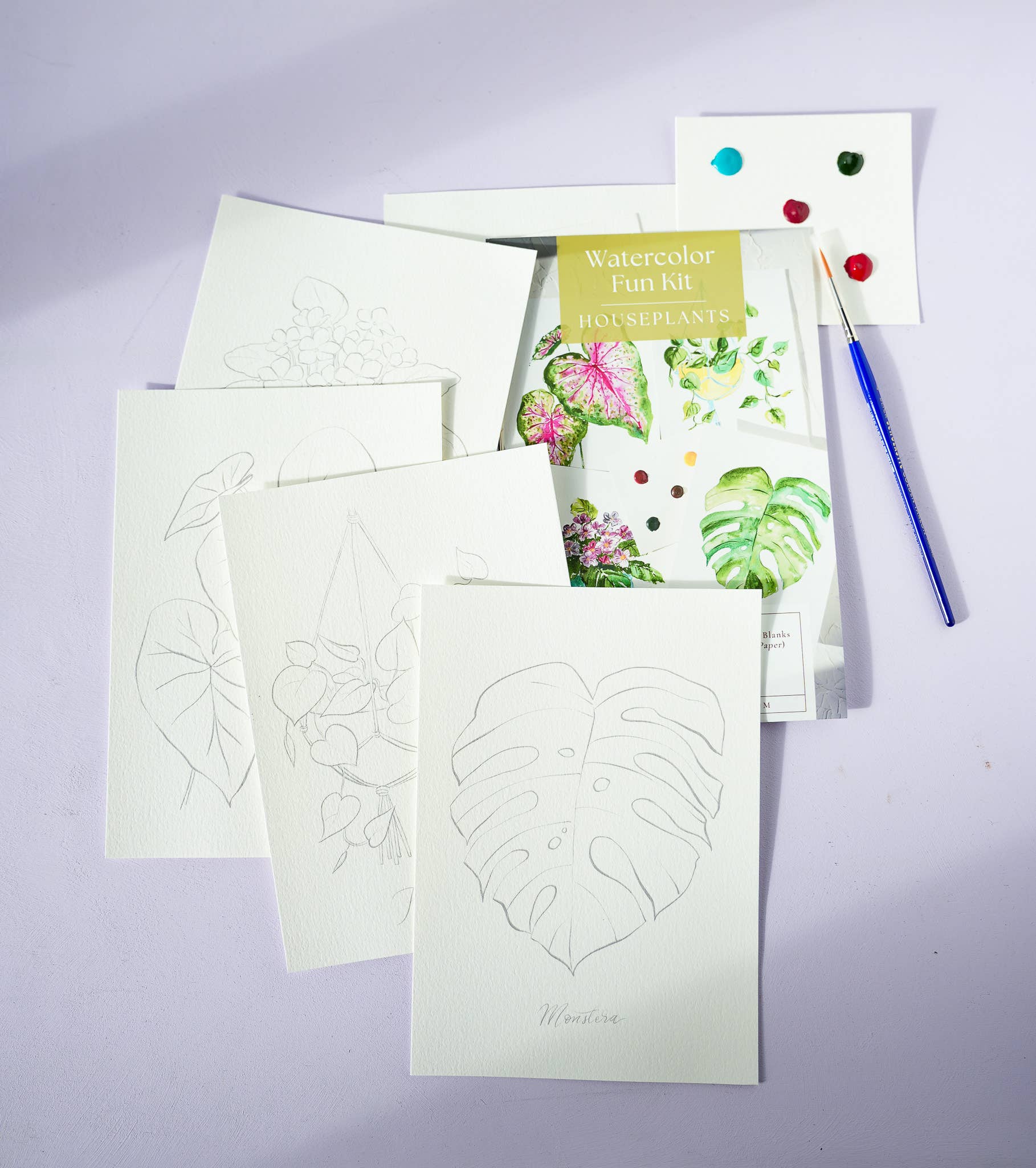 Houseplants Watercolor Painting Kit with Paint & Brush