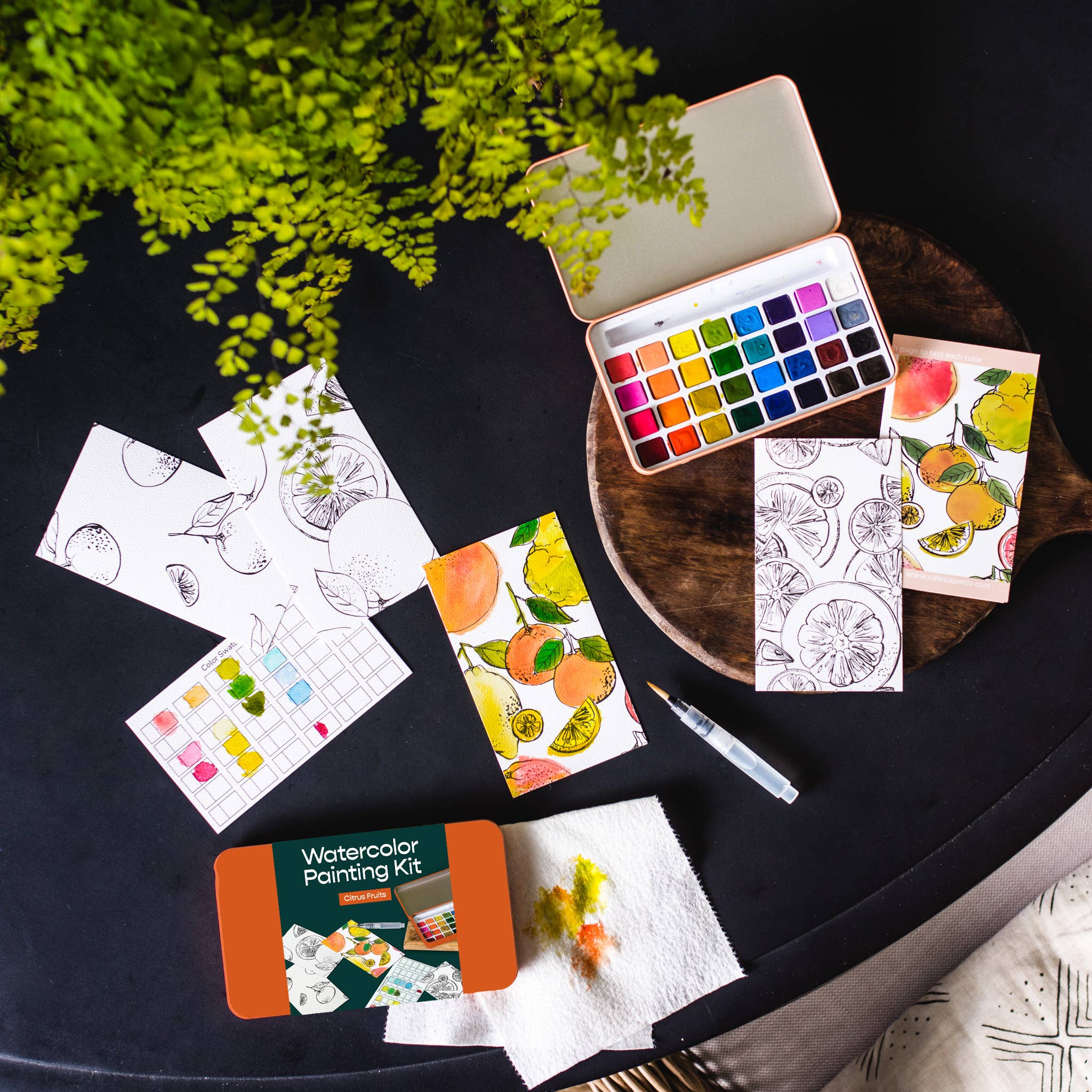 Citrus Fruits|watercolor painting kit