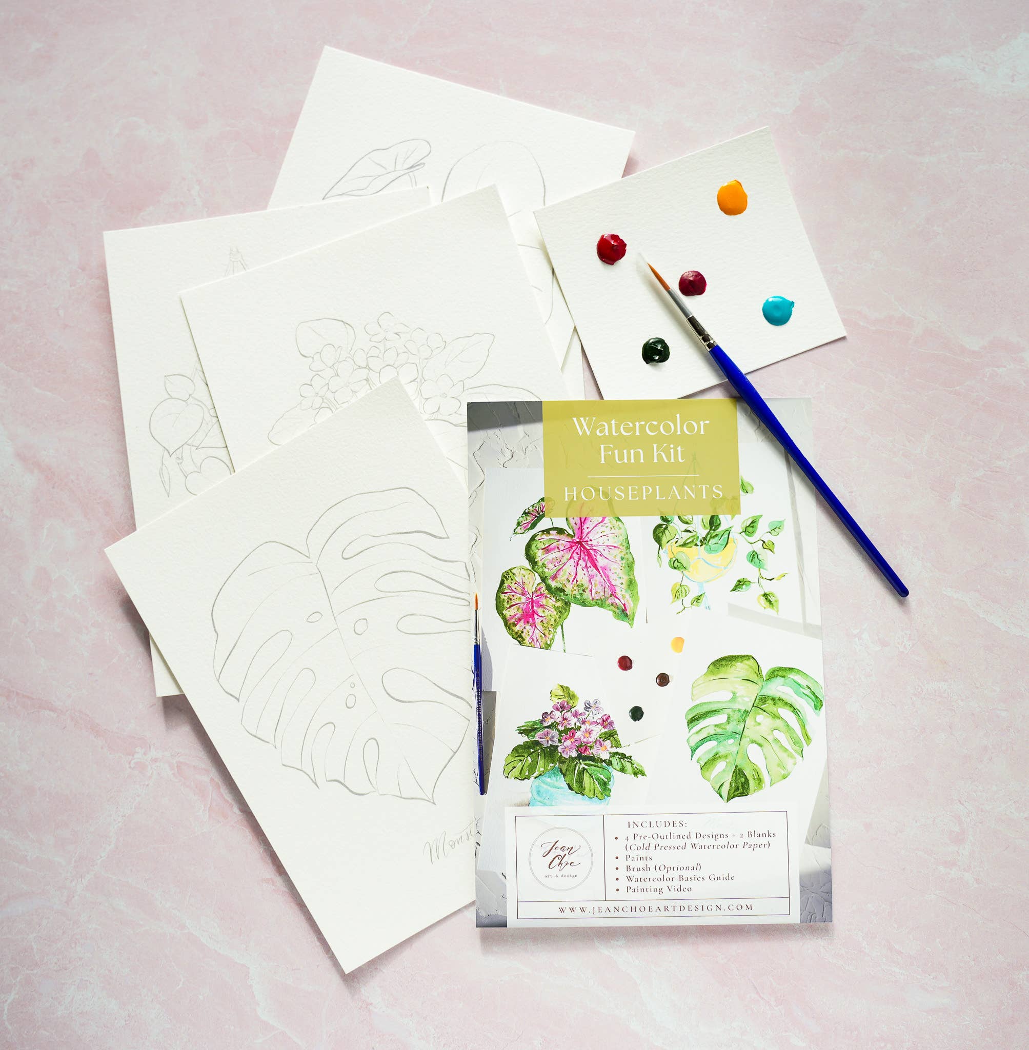 Houseplants Watercolor Painting Kit with Paint & Brush