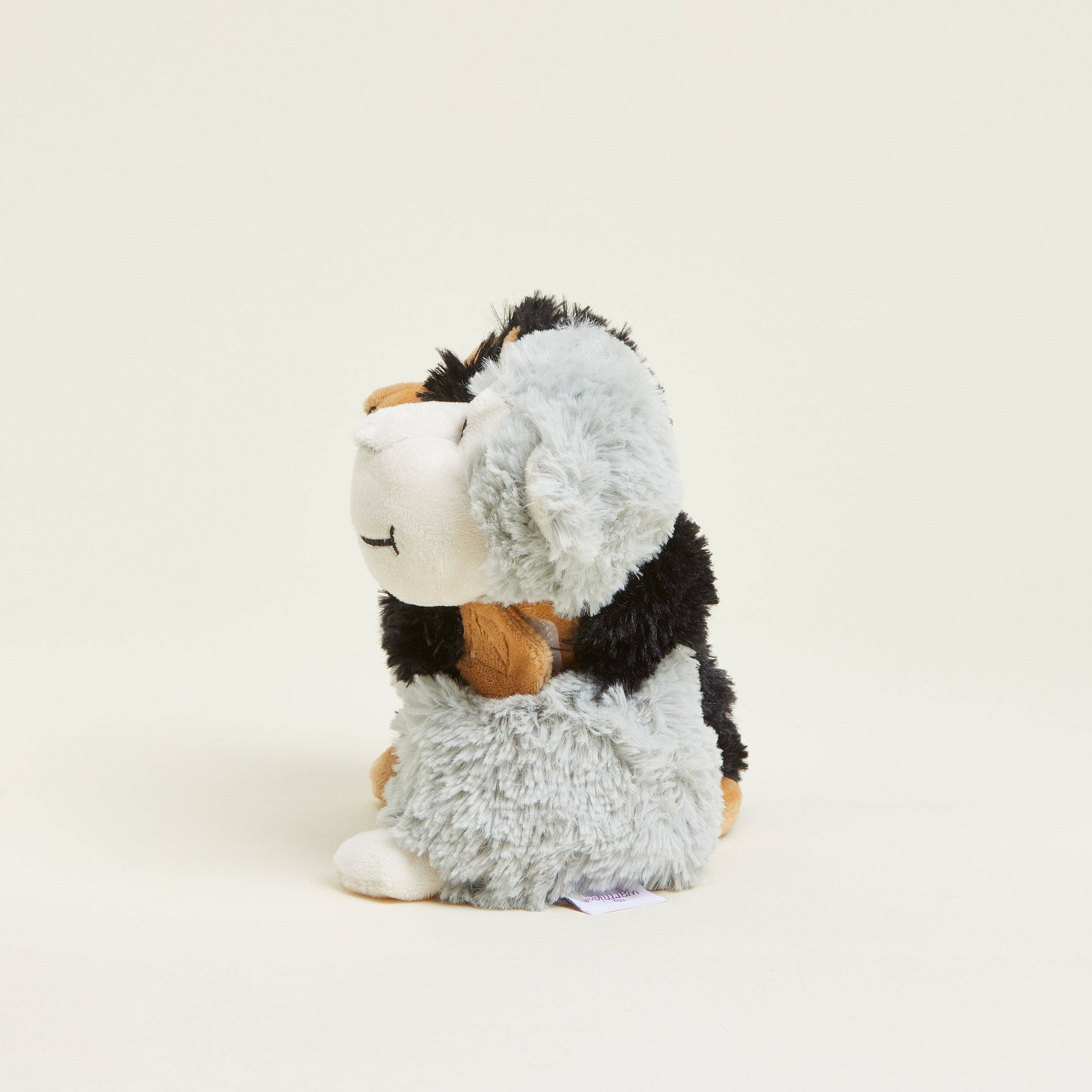 Monkey| Warmies| Hugs