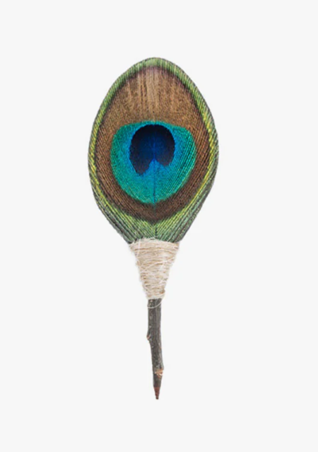 Peacock feather with thorn lapel pin on a white background