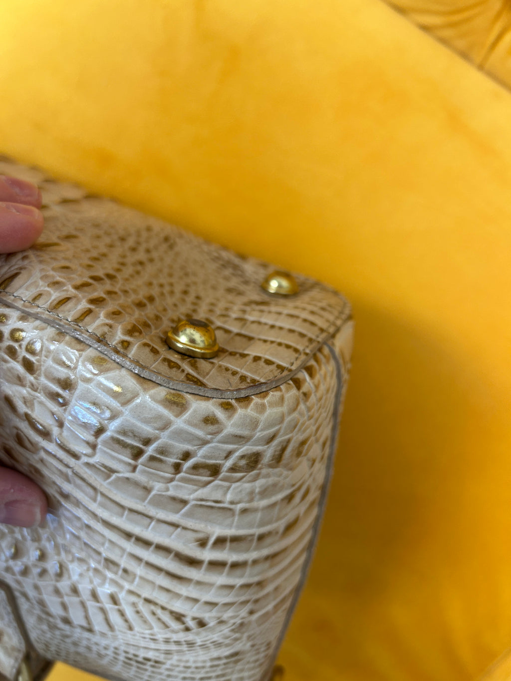 Brahmin Medium Asher tote in cream/gold crocodile embossed leather, gently used