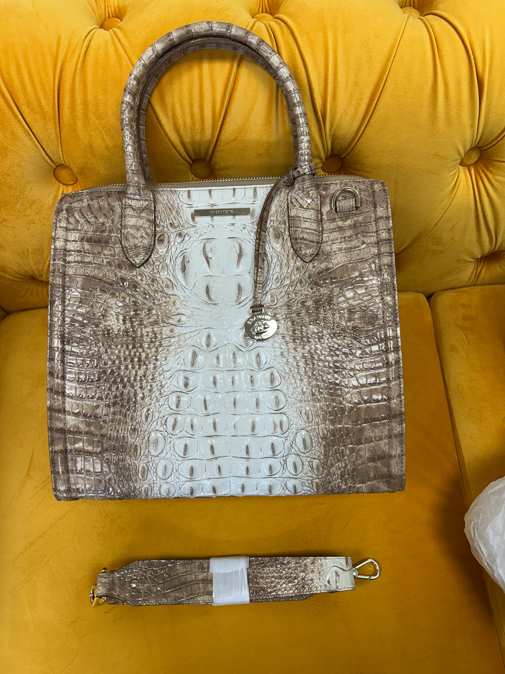 Brahmin Caroline Ombre Melbourne -- new with tags