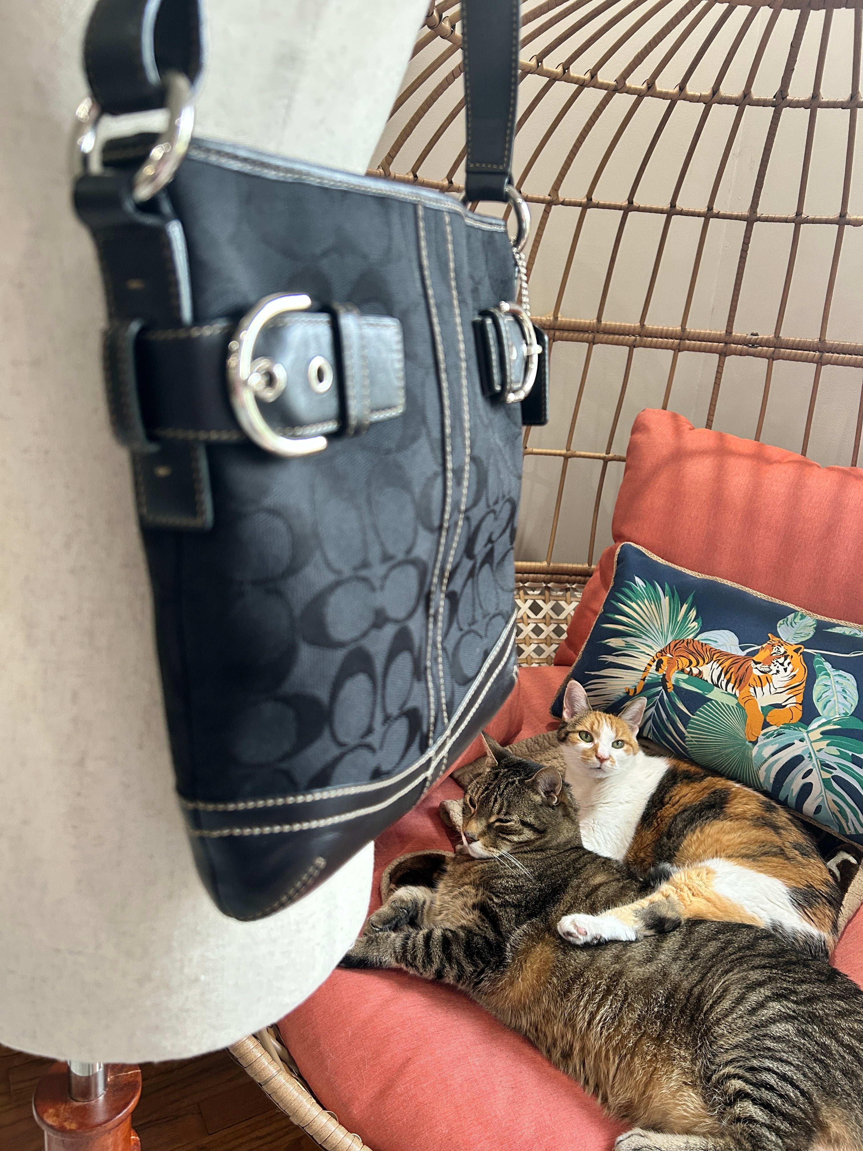 Black Coach handbag on a white surface with two cats supervising photo shoot. 