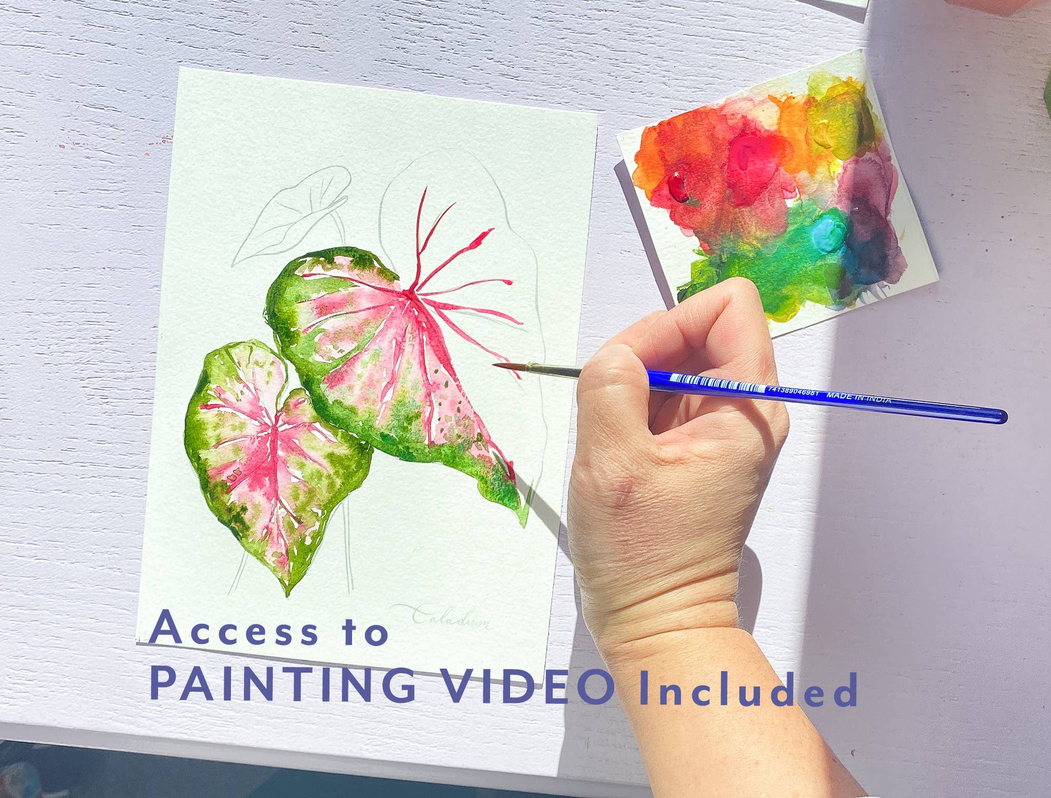 Houseplants Watercolor Painting Kit with Paint & Brush